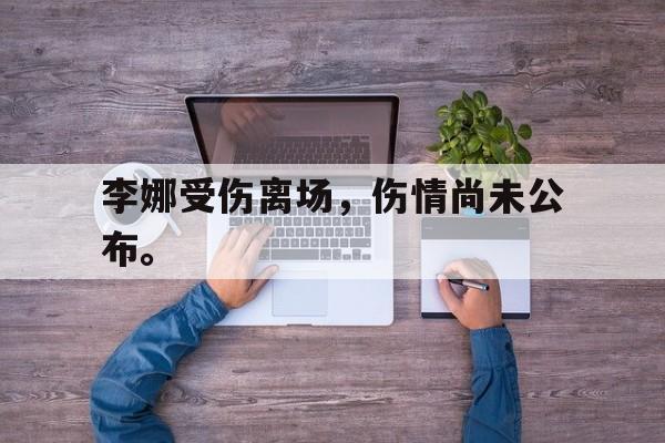 爱游戏官网网页版入口-李娜受伤离场，伤情尚未公布。后缀
