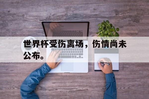 爱游戏官网网页版入口-世界杯受伤离场，伤情尚未公布。后缀