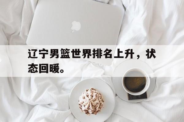 爱游戏官网登录-辽宁男篮世界排名上升，状态回暖。后缀