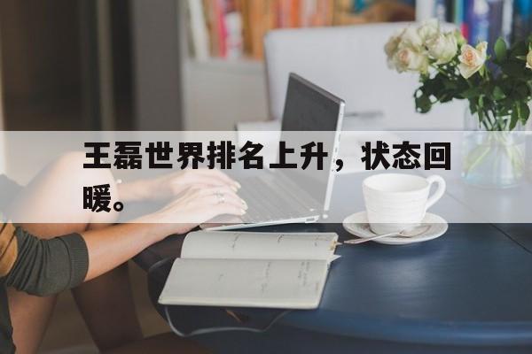 爱游戏官网登录-王磊世界排名上升，状态回暖。后缀