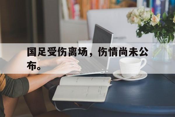 爱游戏官网网页版入口-国足受伤离场，伤情尚未公布。后缀