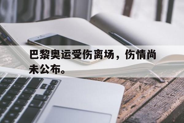 爱游戏官网登录-巴黎奥运受伤离场，伤情尚未公布。后缀