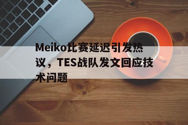 爱游戏官网登录-Meiko比赛延迟引发热议，TES战队发文回应技术问题后缀