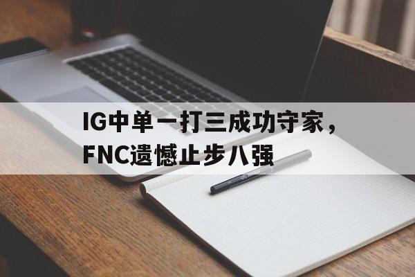 爱游戏官网网页版入口-IG中单一打三成功守家，FNC遗憾止步八强后缀