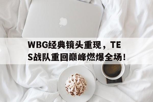 爱游戏官网网页版入口-WBG经典镜头重现，TES战队重回巅峰燃爆全场！后缀