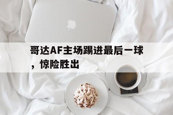 爱游戏官网登录-哥达AF主场踢进最后一球，惊险胜出后缀