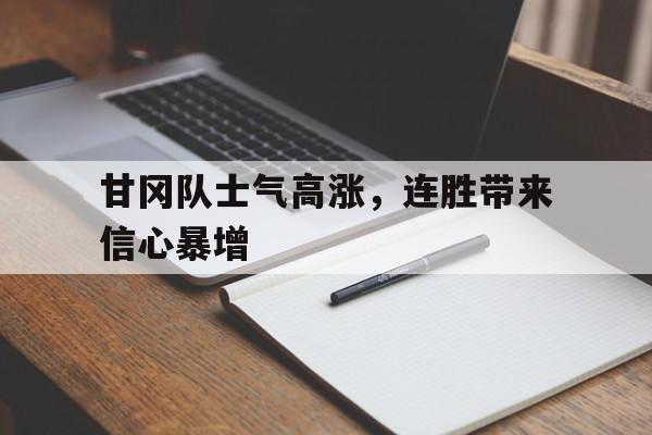 爱游戏官网网页版入口-甘冈队士气高涨，连胜带来信心暴增后缀